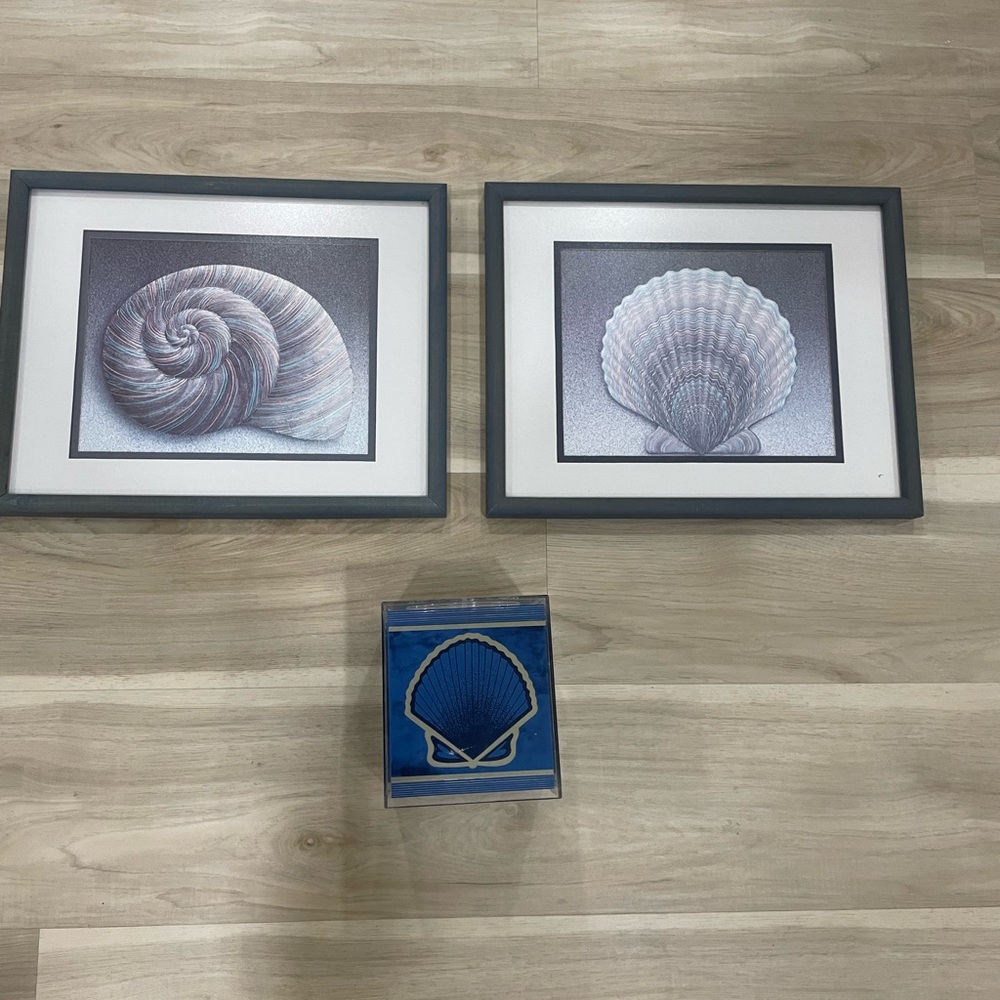 Framed Seashell Art Set